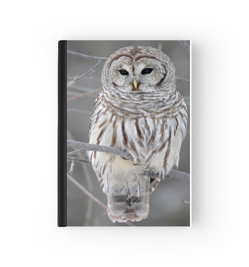 Cahier owl bird on a branch