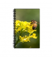 Cahier de texte A bee in the yellow mustard flowers