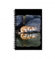 Cahier de texte  Reflet chat dans l'eau d'un étang 