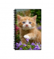 Cahier de texte Bébé chaton mignon marbré rouge dans le jardin