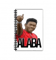 Cahier de texte David Alaba Bayern