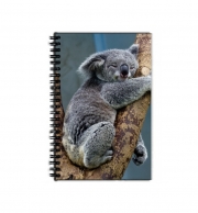 Cahier de texte Koala Bear Australia