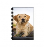 Cahier de texte Labrador Dog