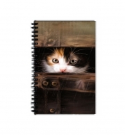 Cahier de texte Little cute kitten in an old wooden case