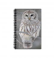 Cahier de texte owl bird on a branch
