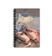 Cahier de texte Painting ballet shoes and jersey