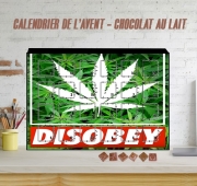 Calendrier de l'avent Weed Cannabis Disobey