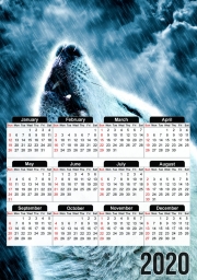 Calendrier A howling wolf in the rain