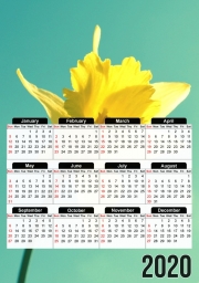 Calendrier Daffodil