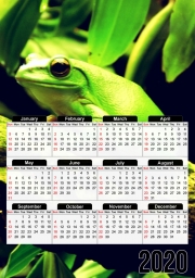 Calendrier Green Frog