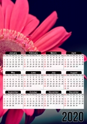 Calendrier Pure Beauty