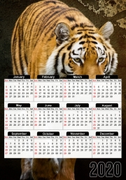 Calendrier Siberian tiger
