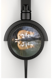 Casque Audio  Reflet chat dans l'eau d'un étang 