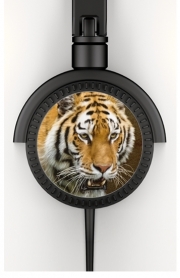 Casque Audio Siberian tiger