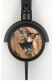Casque Audio Trois petits chatons mignons dans un orifice d'un mur