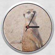 Horloge Murale Meerkat