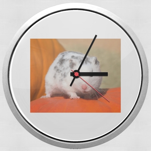 Horloge Murale Hamster dalmatien blanc tacheté de noir