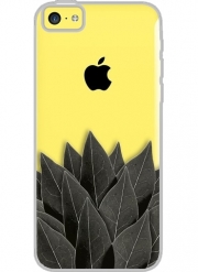 Coque Iphone 5C Transparente Black Leaves
