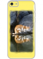 Coque Iphone 5C Transparente  Reflet chat dans l'eau d'un étang 