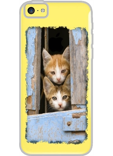 Coque Iphone 5C Transparente Petits chatons mignons à la fenêtre ancienne