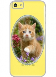 Coque Iphone 5C Transparente Bébé chaton mignon marbré rouge dans le jardin