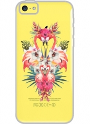Coque Iphone 5C Transparente Flamingos Tropical