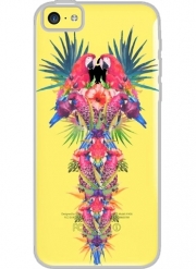Coque Iphone 5C Transparente Parrot Kingdom