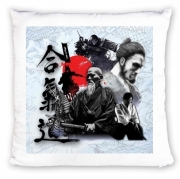 Coussin Aikido History