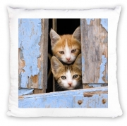 Coussin Petits chatons mignons à la fenêtre ancienne