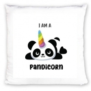 Coussin Panda x Licorne Means Pandicorn