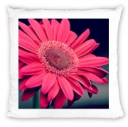Coussin Pure Beauty
