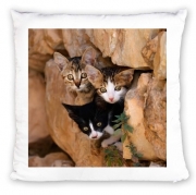 Coussin Trois petits chatons mignons dans un orifice d'un mur