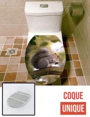 Housse de toilette - Décoration abattant wc Ecureuil