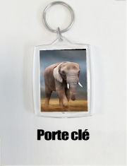 Porte clé photo Elephant tour
