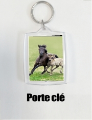 Porte clé photo Chevaux poneys poulain