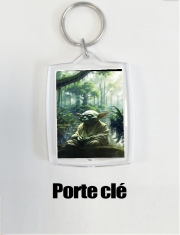 Porte clé photo Yoda Master 