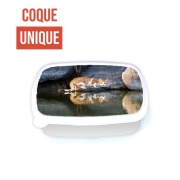 Boite a Gouter Repas  Reflet chat dans l'eau d'un étang 