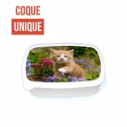 Boite a Gouter Repas Bébé chaton mignon marbré rouge dans le jardin