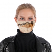 Masque alternatif Meerkat