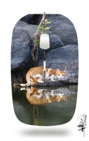 Souris sans fil avec récepteur usb  Reflet chat dans l'eau d'un étang 