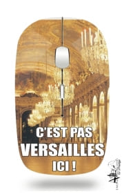 Souris sans fil avec récepteur usb C'est pas Versailles ICI !