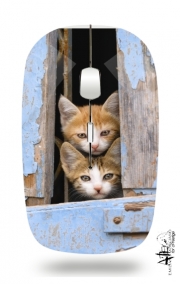 Souris sans fil avec récepteur usb Petits chatons mignons à la fenêtre ancienne