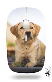 Souris sans fil avec récepteur usb Labrador Dog