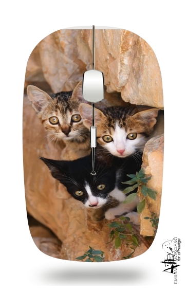 Souris sans fil avec récepteur usb Trois petits chatons mignons dans un orifice d'un mur