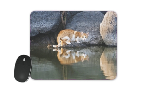 Tapis de souris  Reflet chat dans l'eau d'un étang 
