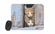 Tapis de souris Petits chatons mignons à la fenêtre ancienne