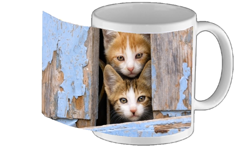 Tasse Mug Petits chatons mignons à la fenêtre ancienne