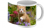 Tasse Mug Bébé chaton mignon marbré rouge dans le jardin