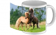 Tasse Mug Deux chevaux islandais cabrés, jouent ensemble dans le pré