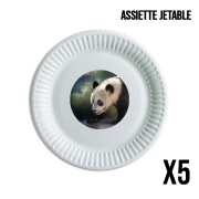 Pack de 5 assiettes jetable Cute panda bear baby
